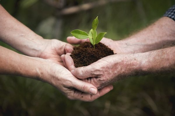 Quelle est la meilleure technique pour conserver la fraîcheur des légumes en spirale ?